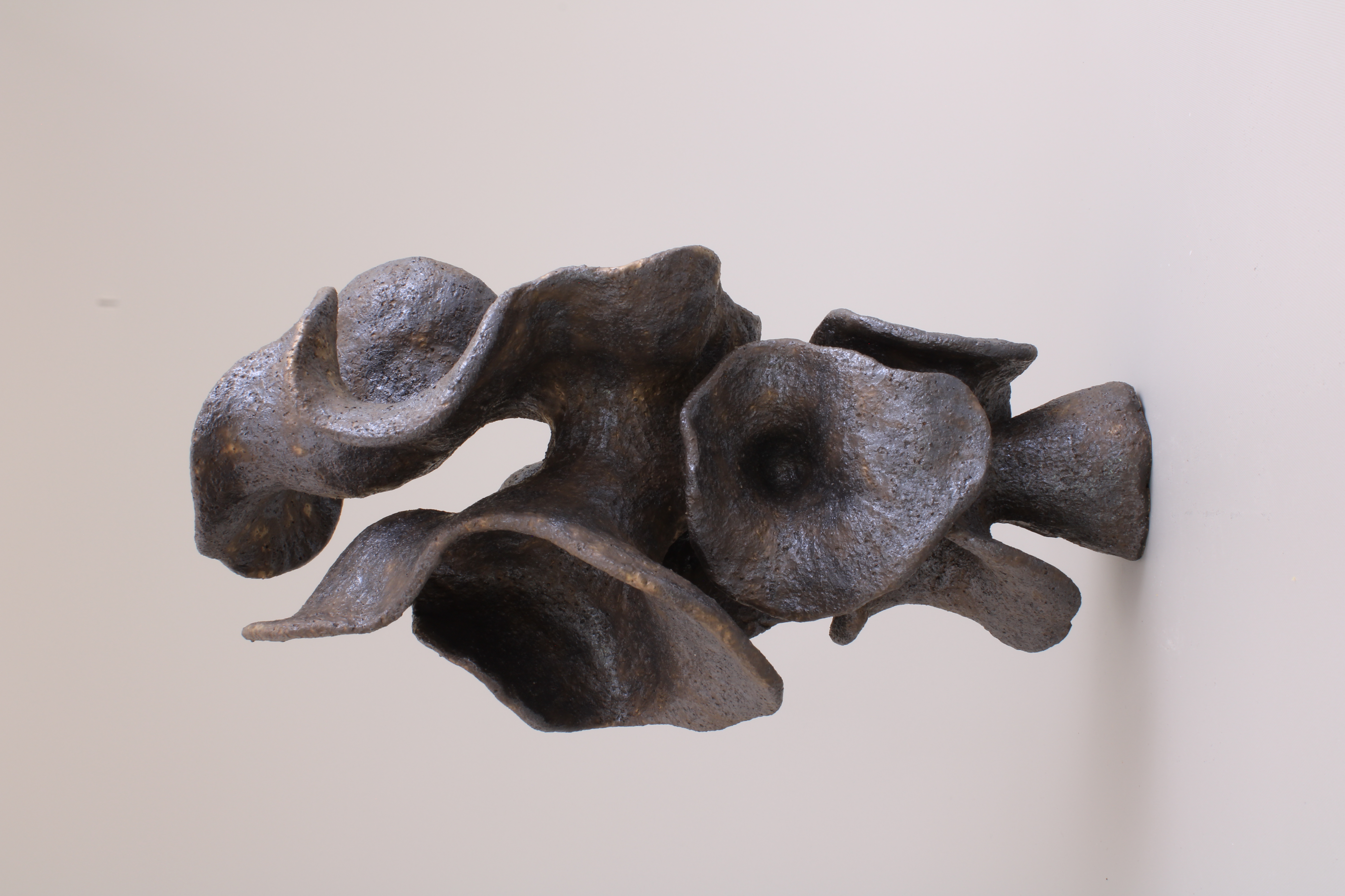 Fungal Form Bronze
