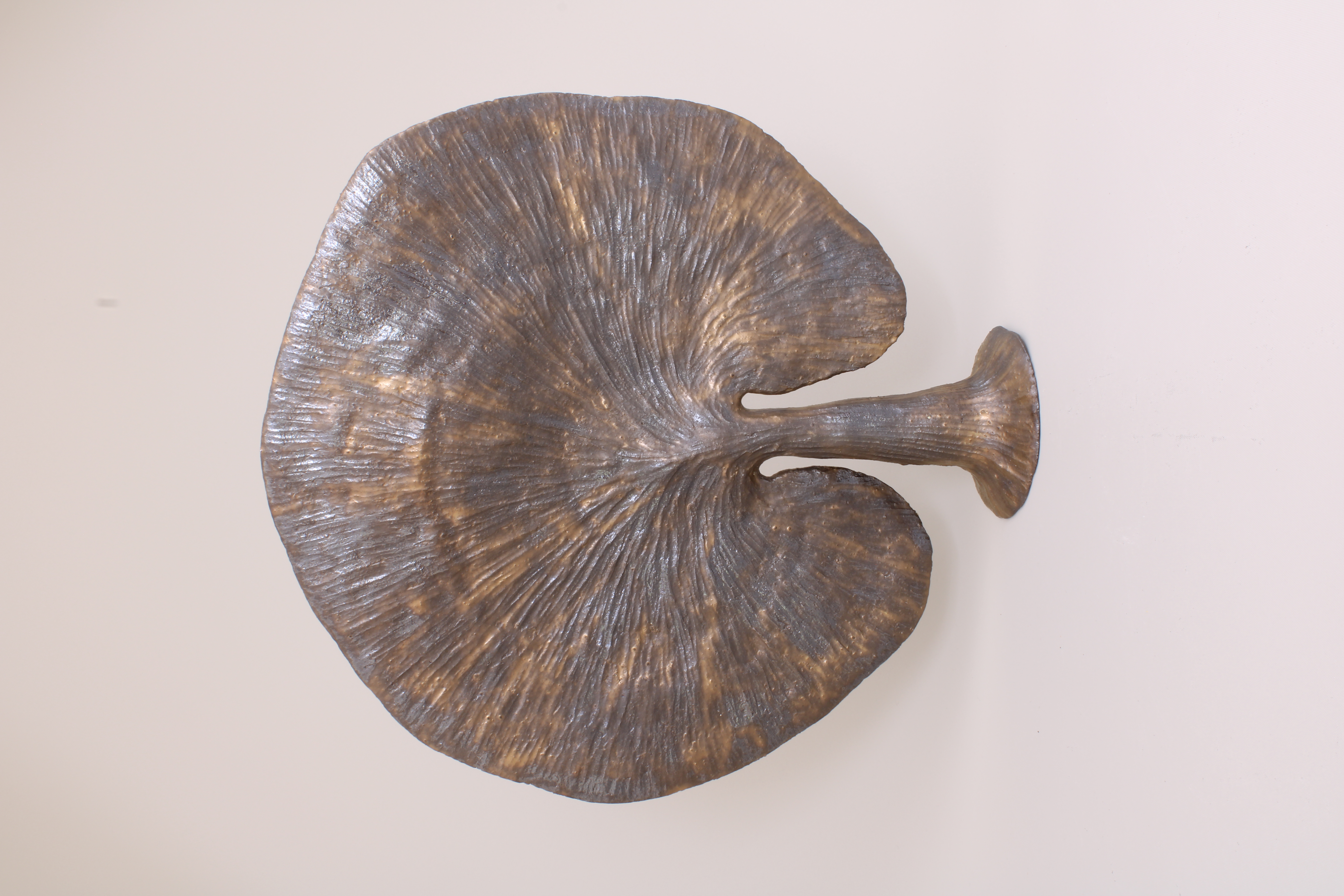 Fungal Form Fan